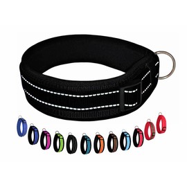 BUDDYPACK Extra Wide Dog Collar with Reflective Stripes, Soft Neoprene Padding, Size XXS-3XL, Adjustable (M (44-49 cm), Black