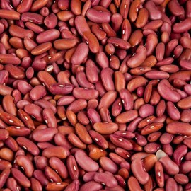 SanMac Large Kidney Beans  - 2 lb