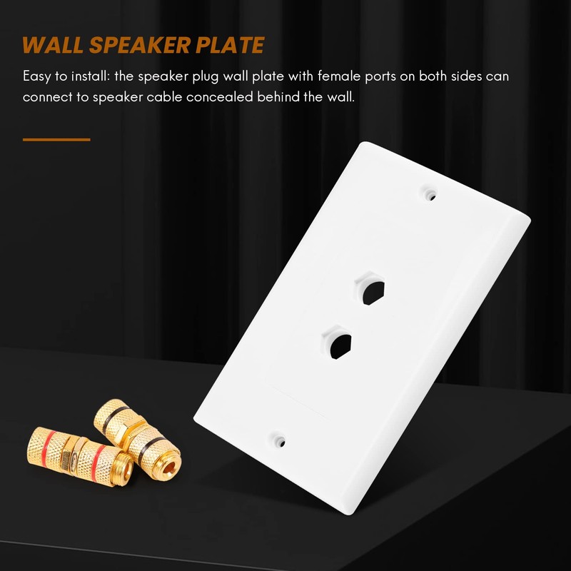 Aswalling 2 Pack Single Gang 1.0 Speaker Wire Wall Plate