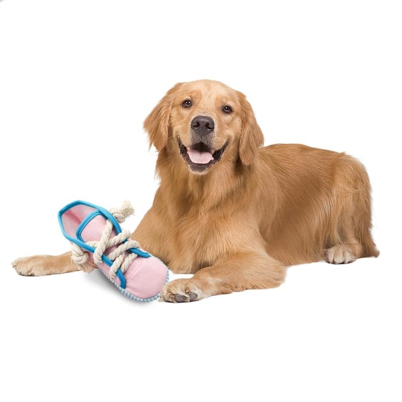 Tiardey Langlebige Quietschspiele für Hunde, interaktive Spiele in Schuhform mit