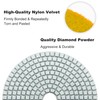 Waies 125 mm Grit 100 Diamond Sanding Pad for Wet