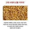 Healthy Hug 골드 카무트효소 카뮤트 저분자 발효 효소 탄수화물 소화효소