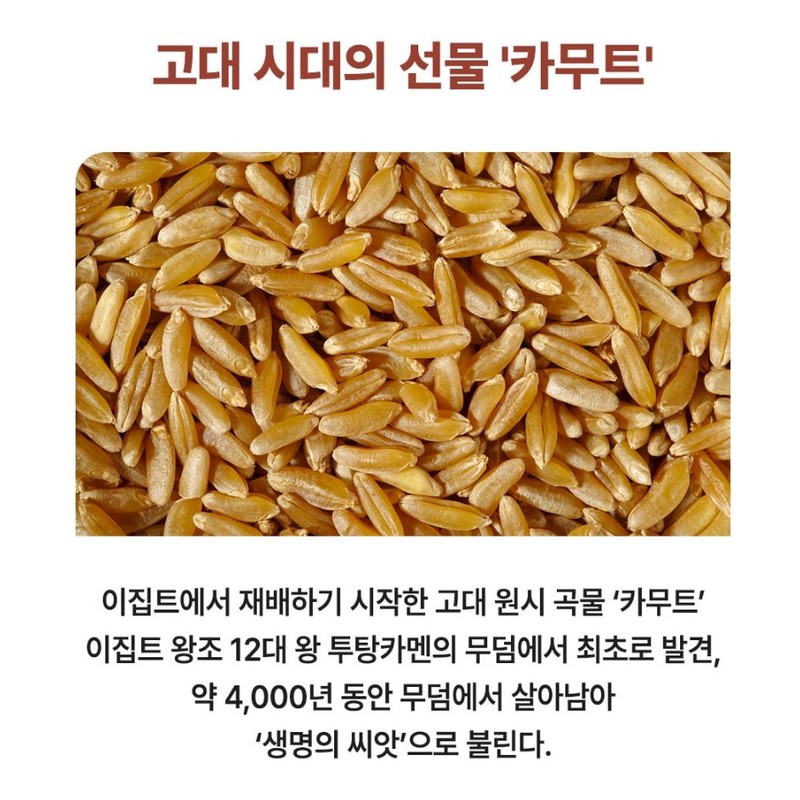 Healthy Hug 골드 카무트효소 카뮤트 저분자 발효 효소 탄수화물 소화효소