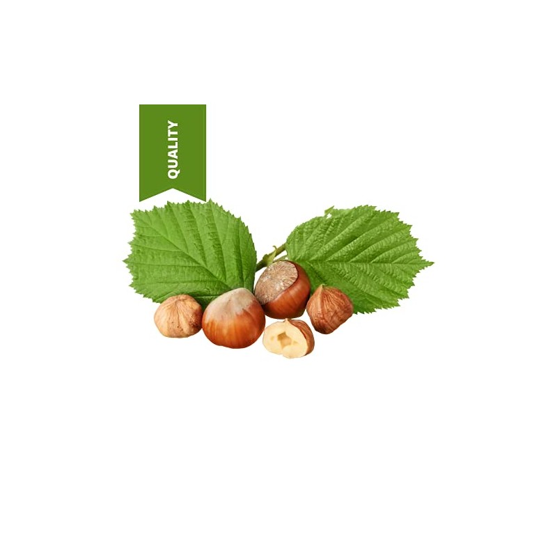 SULU ORGANICS 100% Pure All natural Hazelnut Oil (4 oz)