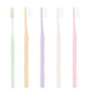 zi-si- (gc) purosupekku Tooth Brush Plus Compact Slim 5 Piece Medium (Normal) Normal Color