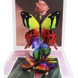 Tupalizy 12PCS Double Wings 3D Butterfly Wall Stickers Decals DIY Art Crafts Decorations for Windows Refrigerator Bedroom Classroom Bathroom Home Office Birthday Party (Colorful)