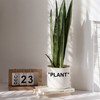 TwoDays Off-White Inspired Sneaker Planter, Hypebeast Room Decor, Small 5