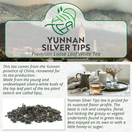 Yunnan Silver Tips White Tea Loose Leaf - Premium Tea from Yunnan, China (Silver Tips - White, 175g)