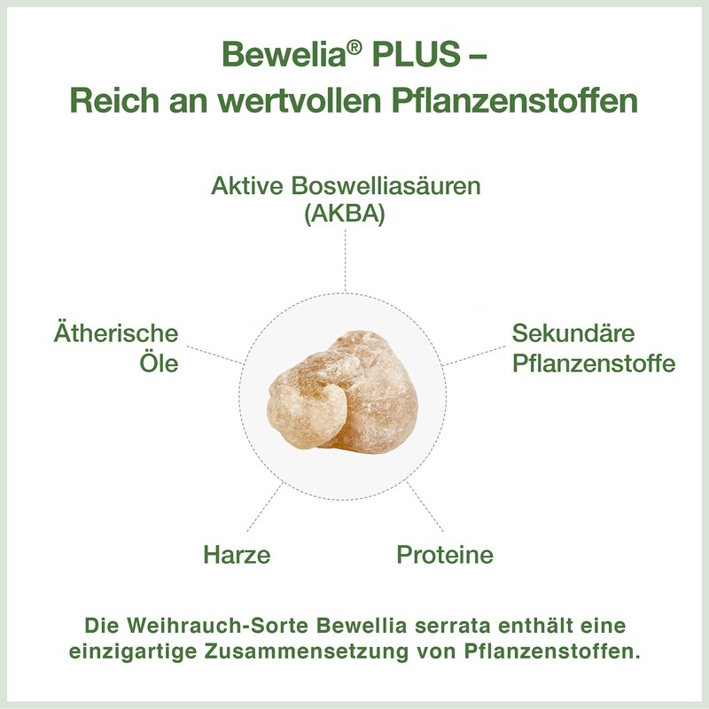Frankincense capsules from Bewelia Plus with 600 mg & 250