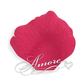 85 Colors to Choose from Silk Rose Petals Artificial Flowers Petals for Wedding Flower Girl Table Centerpieces Aisle Runner Party Dinner Bridal Shower Decoration (200,1000) + Free 12 Tossing Cones