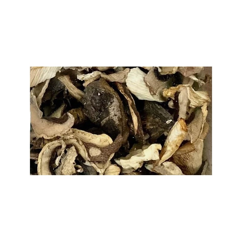 (Pack of 2) The Wild Mushroom Co. Dried Gourmet Mix