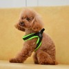 TRE PONTI Fibbia Soft Mesh Cushioned Breathable Harness for Dogs