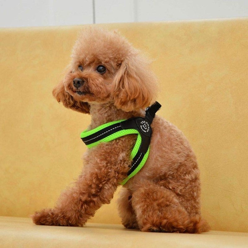 TRE PONTI Fibbia Soft Mesh Cushioned Breathable Harness for Dogs