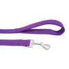 Strong Nylon Dog Leash with 2-Layer, 4 FT/ 6 FT/