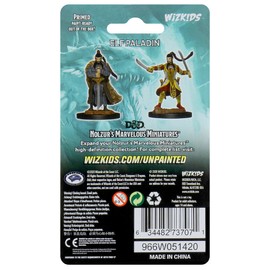 Dungeons & Dragons Nolzur's Marvelous Unpainted Miniatures: Wave 9 Male Elf Paladin (WK73707)