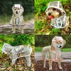 Qcwwy Dog Raincoat, Transparent Pet Raincoat, Comprehensive Protection, Pet Rain