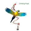 1.6 Meter Parrot Swing Climbing Standing Toys Birds Supplies for