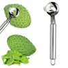 Stainless Steel Peeler - Multi-Purpose Kitchen Tools, Cactus Peeler, Noodle