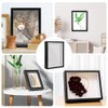 3D Picture Frame for Filling, Deep Woods up to 3