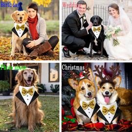 Dog Tuxedo Costume Wedding Dog Bandana Nylon Collar Suit with Gold Bow Tie Adjustable Black Tux Formal Dog Clothes for Small Medium Large Dog Pet Birthday Costumes Christmas Dress Outfits