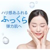 Special Spring Solution, W Hyaluronic Acid Solution Essence, 1.1 fl