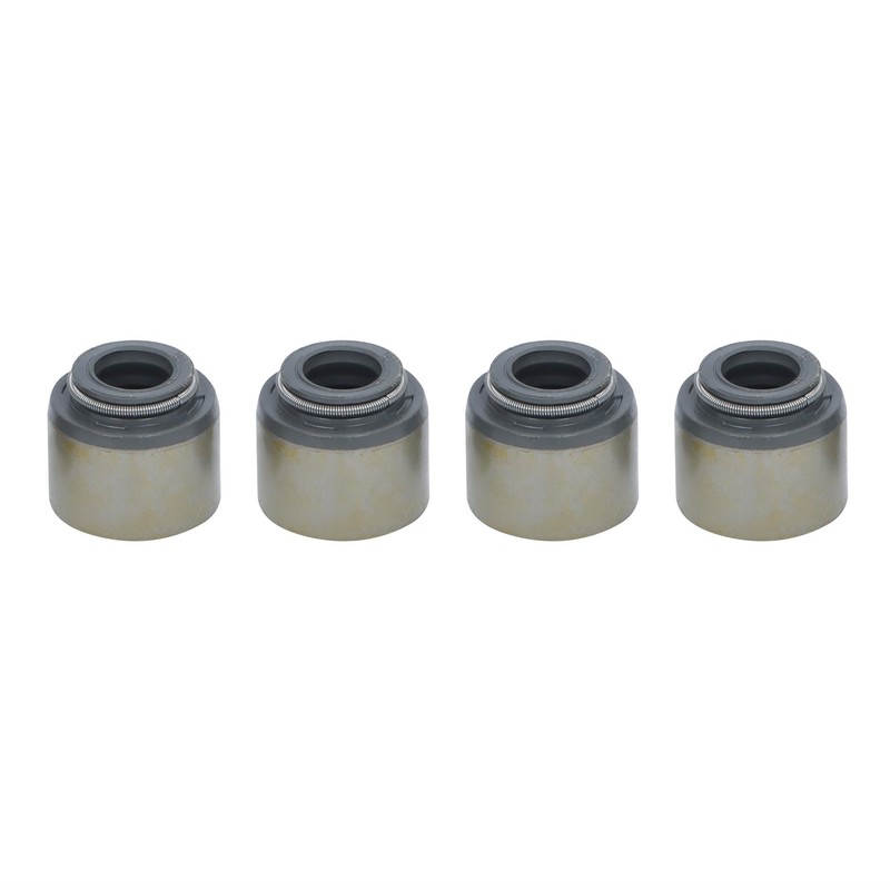 Thomletha Dual Valve Springs Kit with Retainers Replacement for Gen3