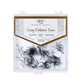 WL Wonder Lashes Fertige Wimpernfächer 6D für Professionell 0,07 250 Stück, C oder D Curl, Cat Eye oder Dramatische Effekt, Falsche Premium Volumen Wimpern für Wimpernverlängerung (D Curl, 8 mm)