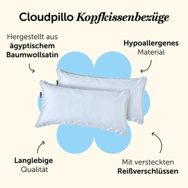 Cloudpillo Pack of 2 Deluxe Pillowcases - 300TC Cotton, Ultra Soft & Breathable, Antibacterial, Hidden Zip, Durable Luxury, Sky Blue
