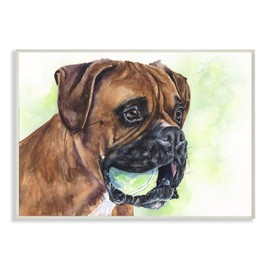 Stupell Industries Boxer with Ball Dog Pet Animal Watercolor Painting Wall Plaque, 13 x 19, Design by Artist George Dyachenko