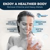 HammerHead Showers® Solid Metal Shower Head Filter Replacement Cartridge –