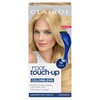 Clairol Root Touch-Up by Nice'n Easy Permanent Hair Dye, 10