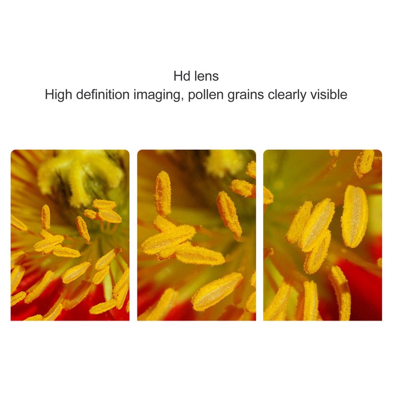 Handheld Digital Microscope with 2 Inch Screen 400 to 800x