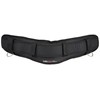 Sankyo Corporation DT-SBM-BK Safety Belt (Supporter) M Size Black