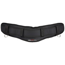 Sankyo Corporation DT-SBM-BK Safety Belt (Supporter) M Size Black