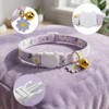 REDANHA 3 Pcs Cat Collar with Bell and Charm, Cute