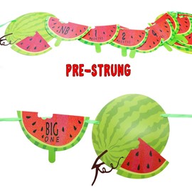 Watermelon Photo Banner Watermelon Party Supplies One in a Melon 1st Birthday Party Supplies Decorations Monthly Milestone Summer Fruit themed Party Decor