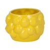 Sagebrook Home Unique Decorative Ceramic Planter for Indoor Greenery