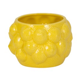Sagebrook Home Unique Decorative Ceramic Planter for Indoor Greenery