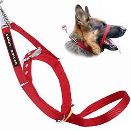 Canny Collar No Pull Dog Head Collar, Lead Training Head Harness, Dog Collar that stops pulling - Easy to fit, simple to use, kind, safe, comfortable