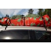 Kirk Tree Hugger, Wraps Your Tree & Protects Your car,