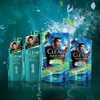 Clear For Men Active Sports Conditioner Pump 350g