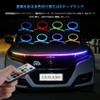 Catland LED Tape Light, Sequential, Flowing LED Tape, RGB 12