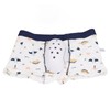 Circumcision Underwear for Kids PTE Protective Cover Anti Extrusion Dinosaur