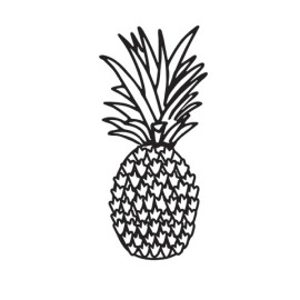 Darice #379 Darice Embossing Folder Essentials PINEAPPLE  # 30041334