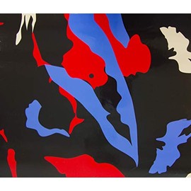 Way2Buy Vinyl Red Blue Black Beige Camouflage High Gloss Vinyl Film Wrap CAMO Auto Sticker with Free Tool Kit (Sample 3IN x 5IN)