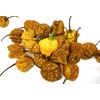 Jamaican Scotch Bonnet MOA Yellow Hot Pepper Dried Whole Pods