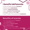ERBOTECH, Acerola Powder 100g Pack Natural Source of Vitamin C
