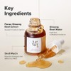 Revive Serum : Ginseng + Snail Mucin