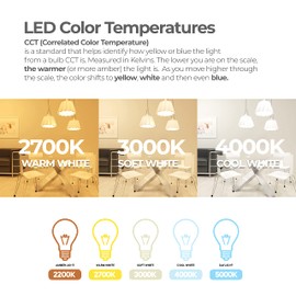 Bulbrite 8.5 Watt Dimmable Milky Finish Globe G40 LED Light Bulb with Medium (E26) Base, 2700K Warm White Light, 800 Lumens