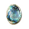 Soul Sticks Abalone Shell for Smudging 4–6" with Wooden Tripod
